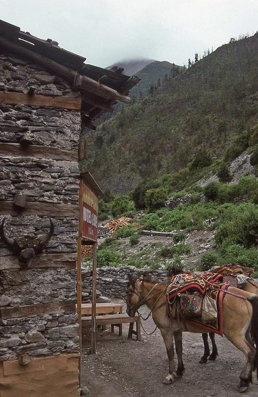 WT 1000 158-06 Nepal.jpg